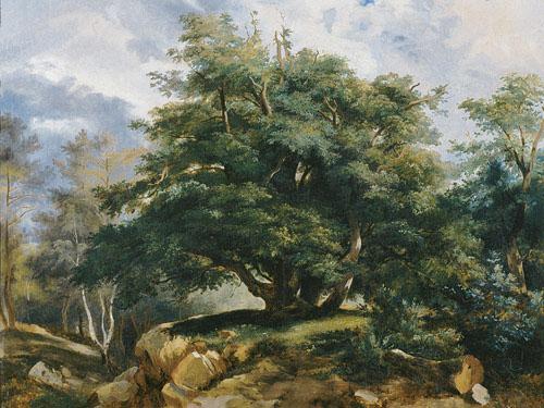 Jules Coignet The Old Oak in the Forest of Fontainebleau